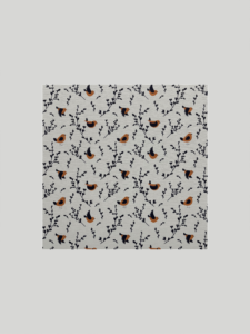 ことりのこみち