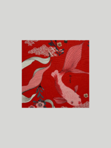 エレガントな鯉　R